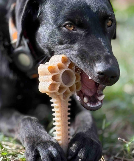 SodaPup-jouet-interactif-pour-chien-chiot-eChew-Flower-Tower-Nylon-xl