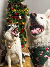 The-Foggy-Dog-bandana-tricot-pour-chien-tricot-renne-noel