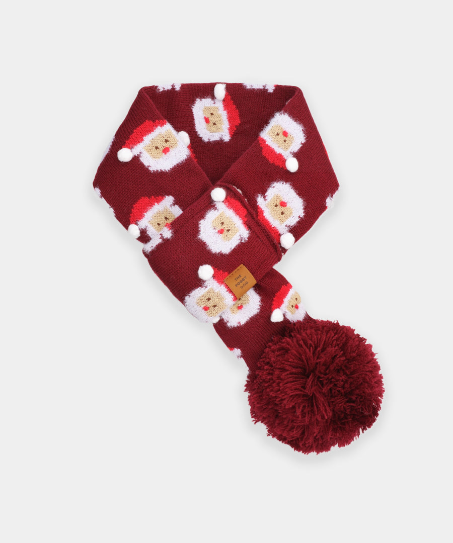 The-Foggy-Dog-echarpe-noel-pour-chien-pere-noel