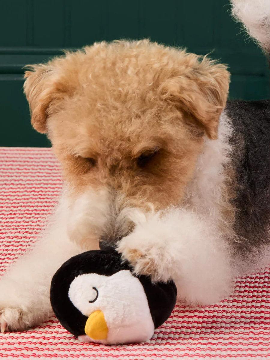 Peluche de Noël pour chien - Pingouin - The Foggy Dog