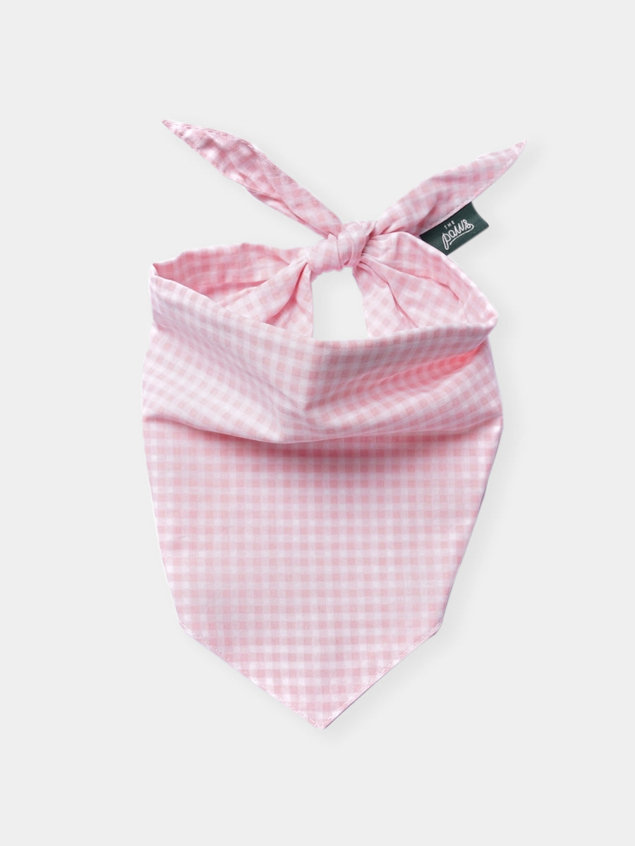 The-Paws-bandana-pour-chien-Gingham-rose