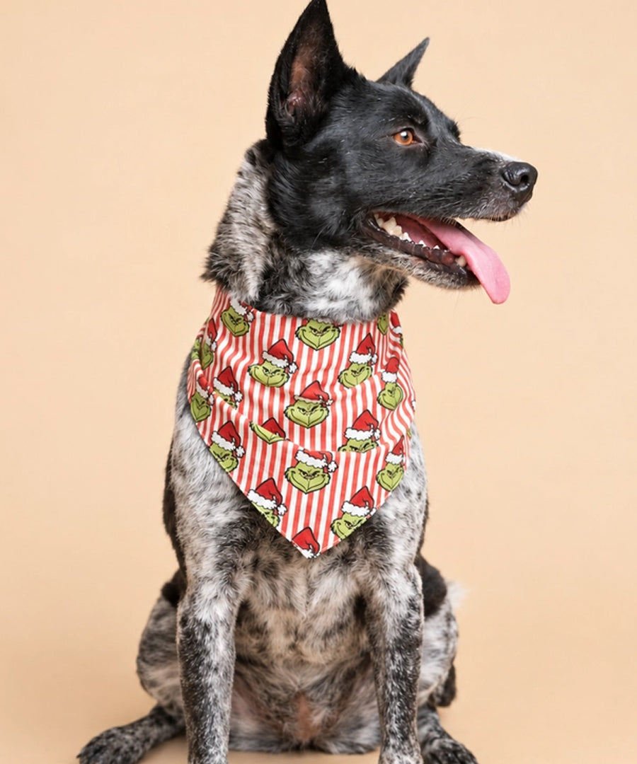 The-Paws-bandana-pour-chien-Grinchmas