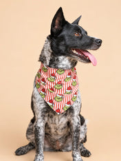 The-Paws-bandana-pour-chien-Grinchmas