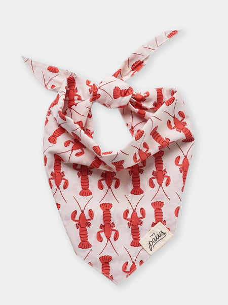 The-Paws-bandana-pour-chien-Lobstah