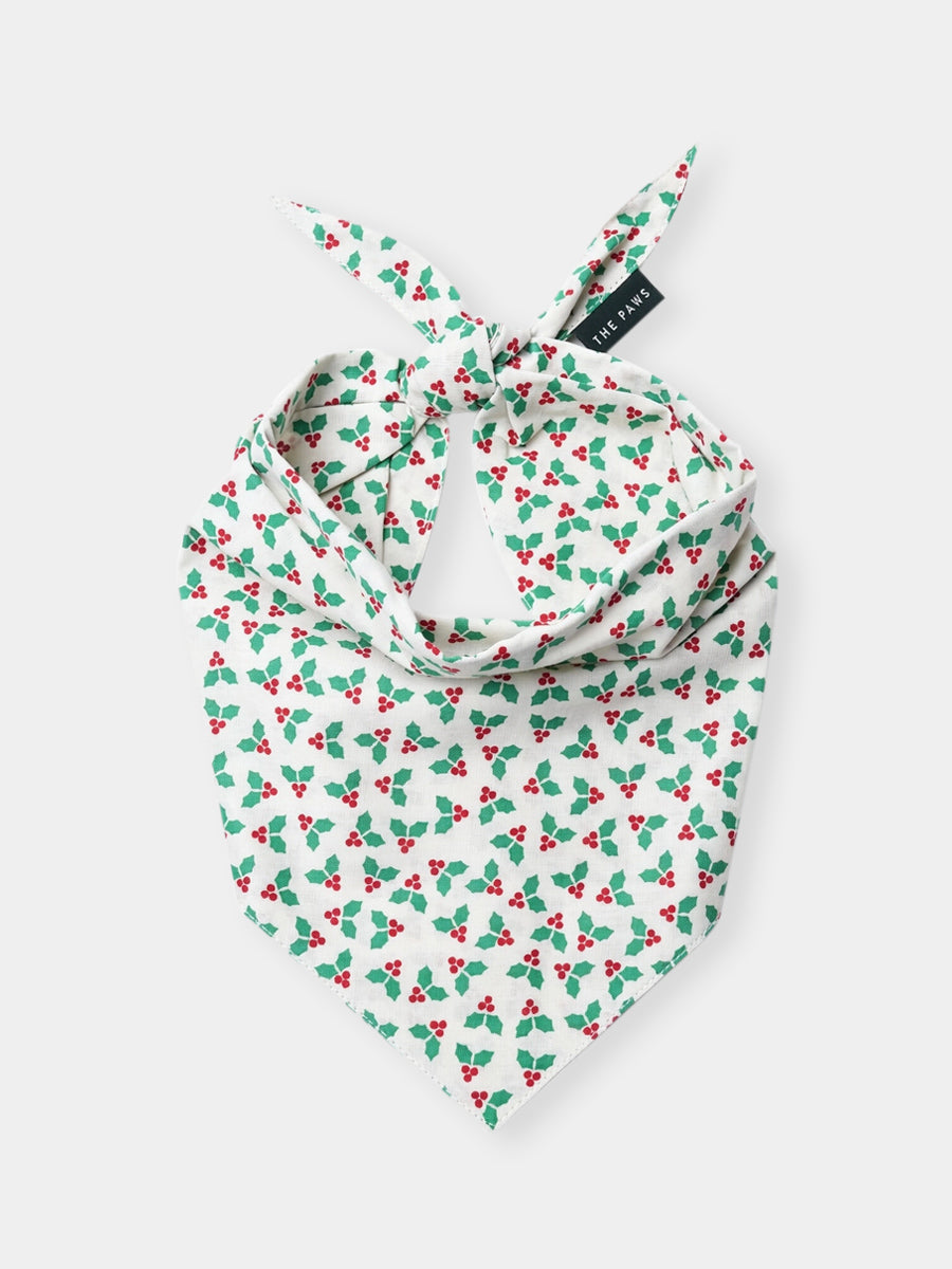 The-Paws-bandana-pour-chien-Merry