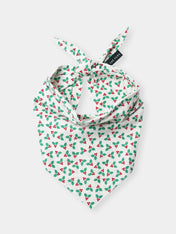 The-Paws-bandana-pour-chien-Merry