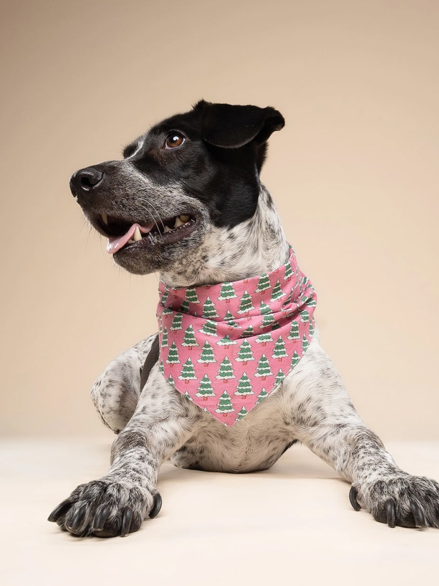 The-Paws-bandana-pour-chien-Pink-Alpine