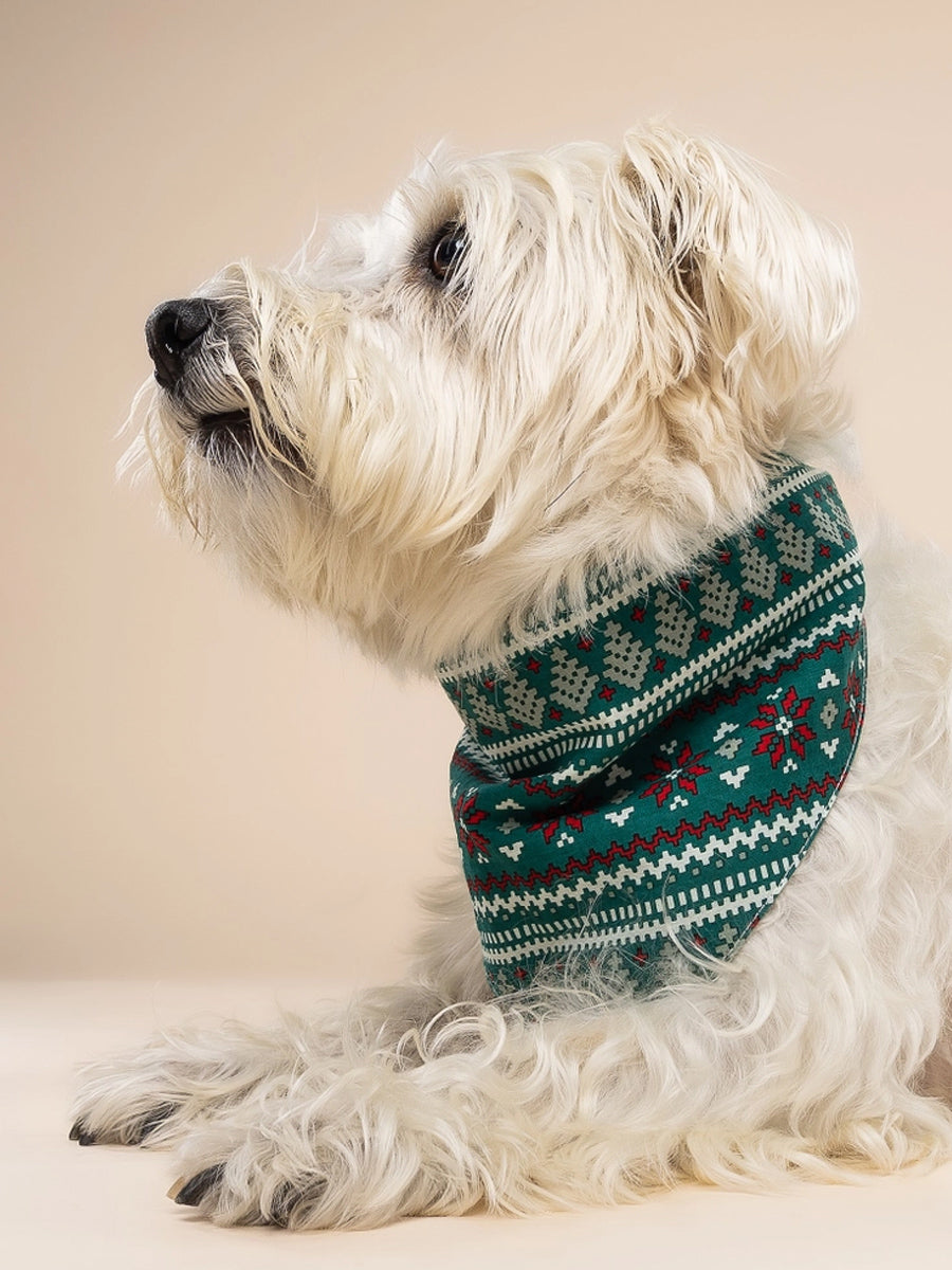 The-Paws-bandana-pour-chien-Ugly-Sweater