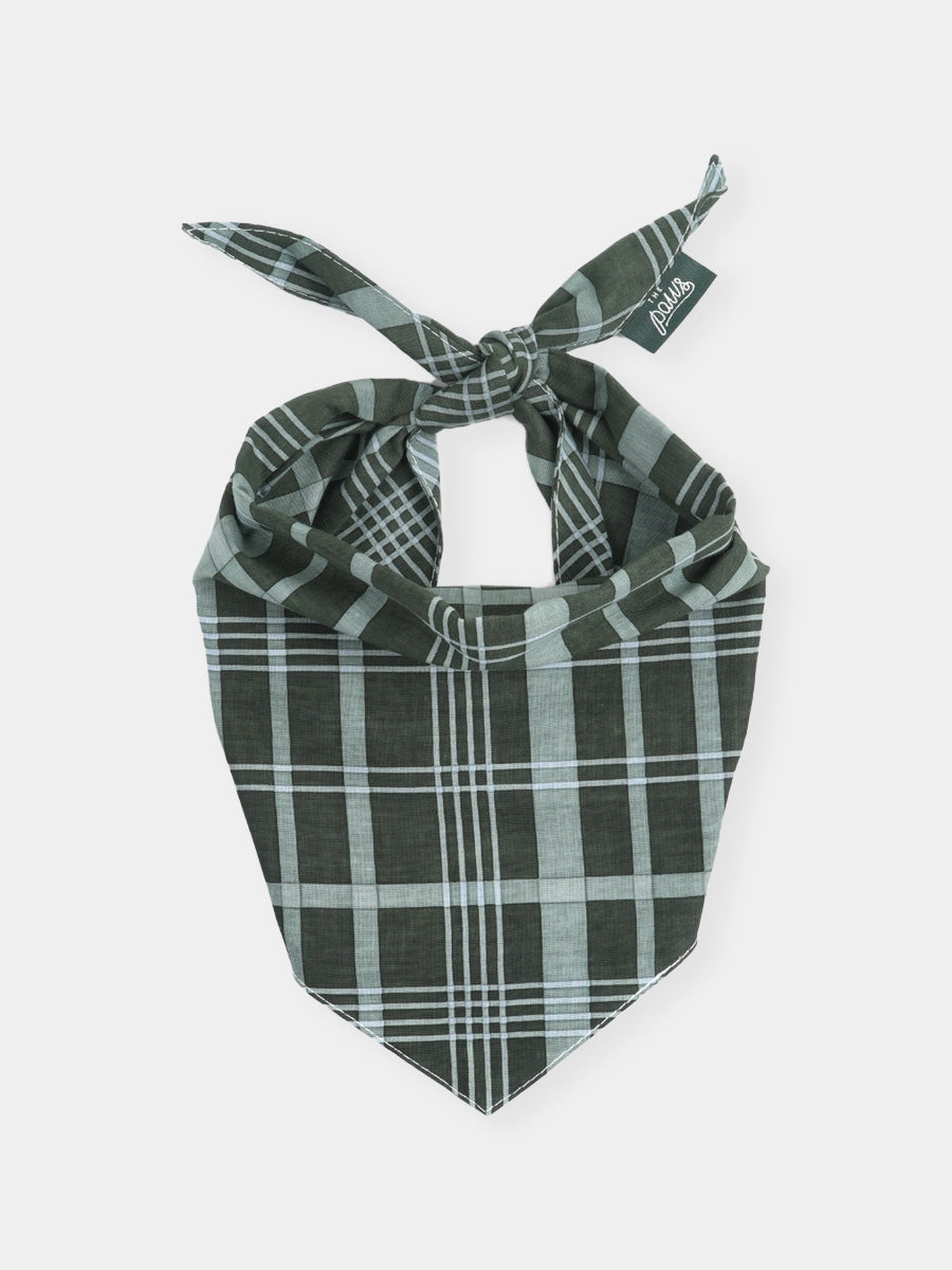 The-Paws-bandana-pour-chien-winter-pine