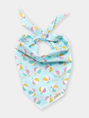 The-Paws-bandana-pour-chien-ballon-plage