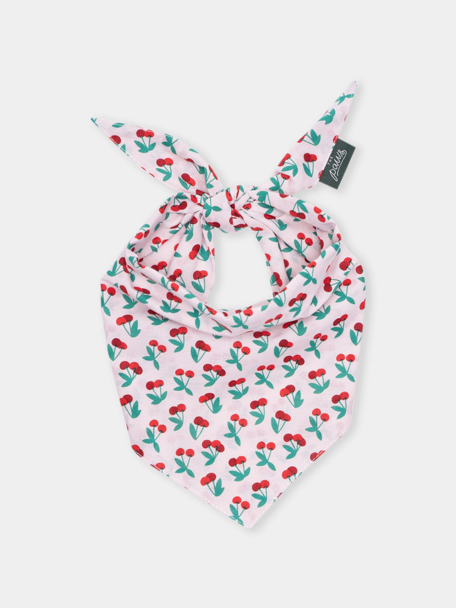 The-Paws-bandana-pour-chien-cerise