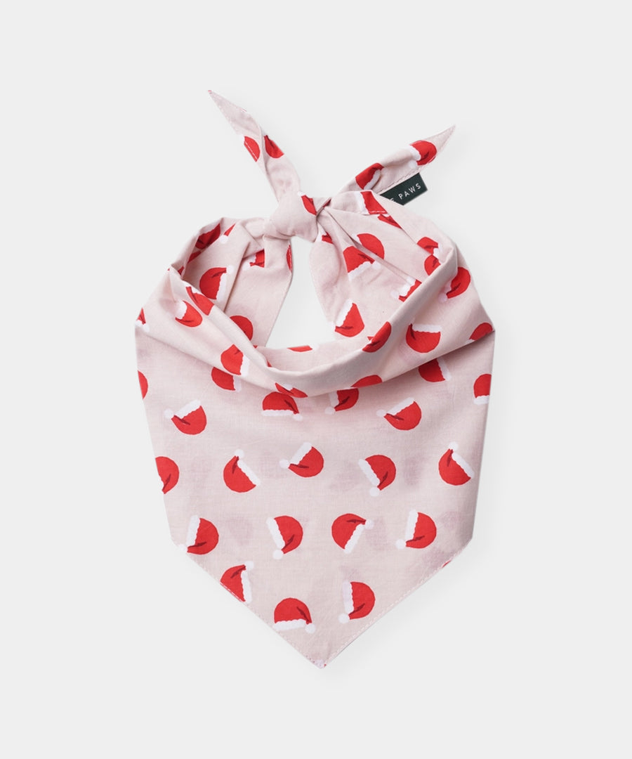The-Paws-bandana-pour-chien-jolly-chapeau-noel