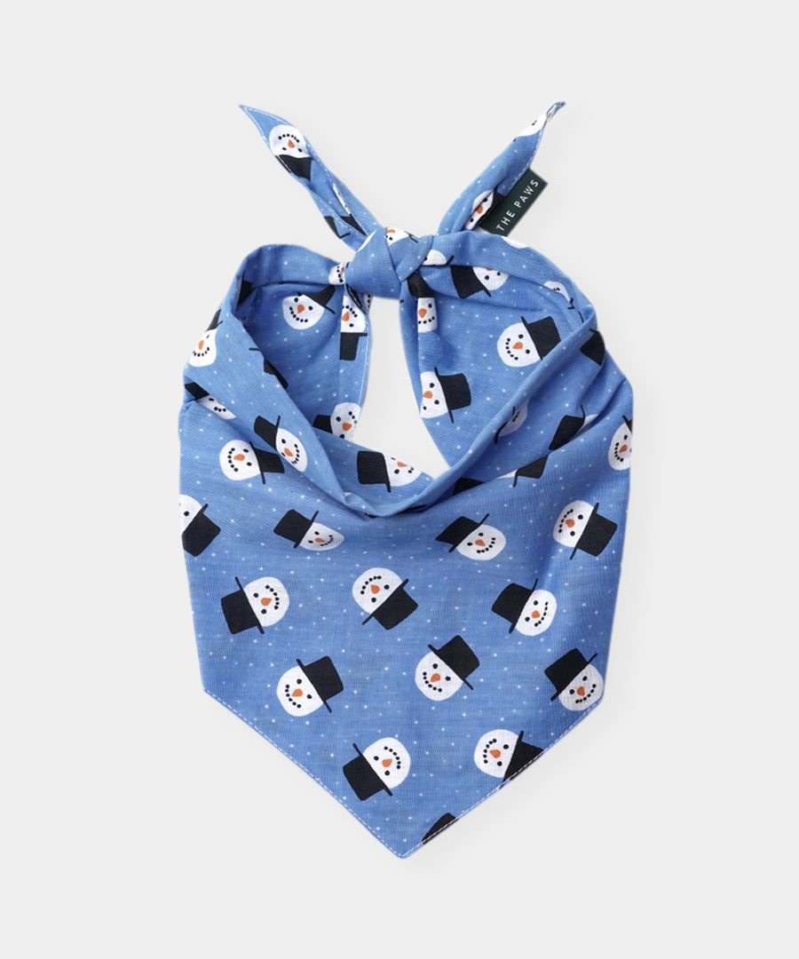 The-Paws-bandana-pour-chien-snow-day