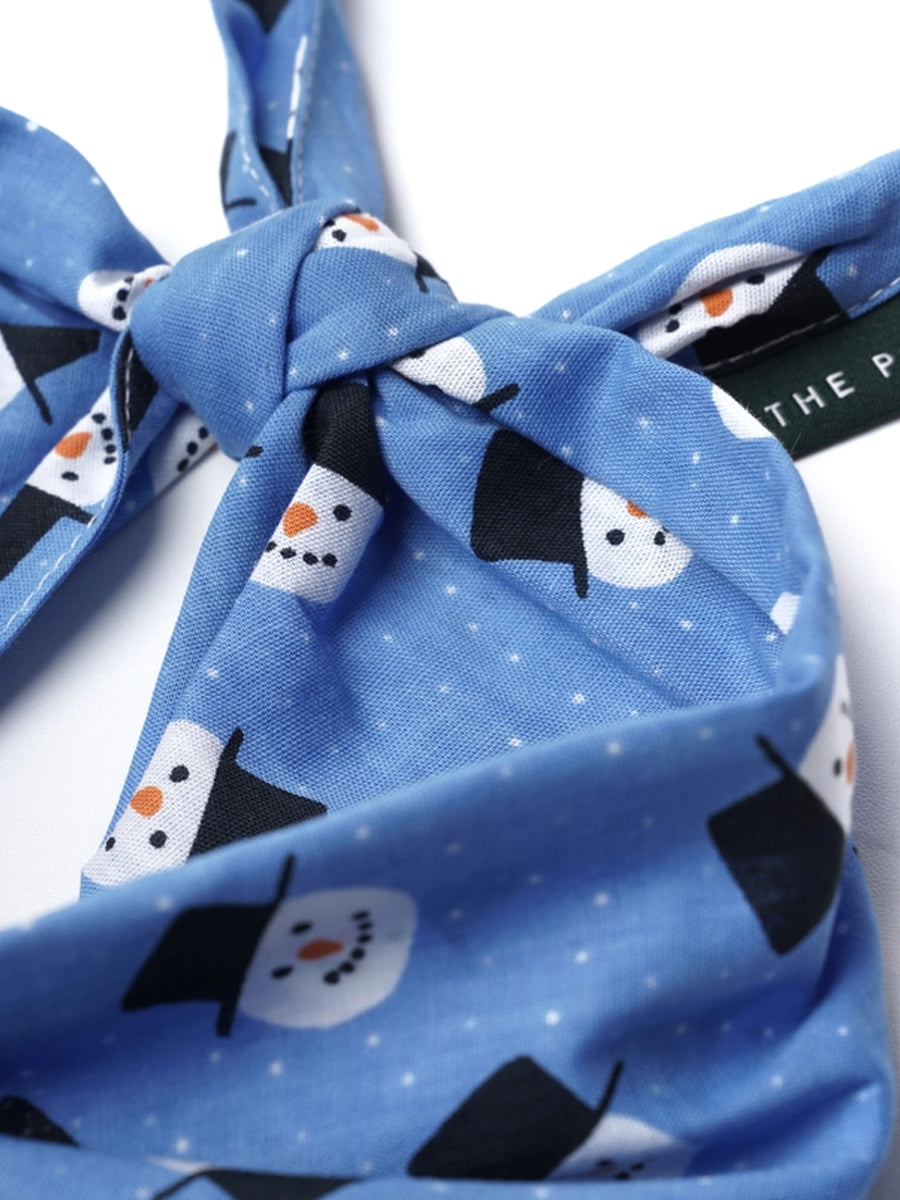 The-Paws-bandana-pour-chien-snow-day