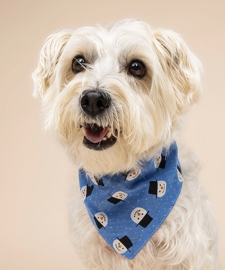 The-Paws-bandana-pour-chien-snow-day