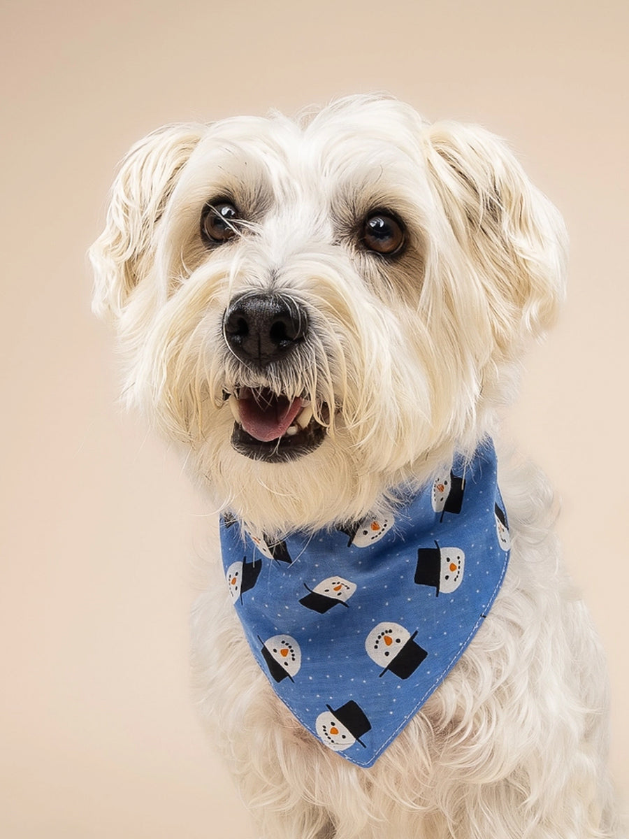 The-Paws-bandana-pour-chien-snow-day