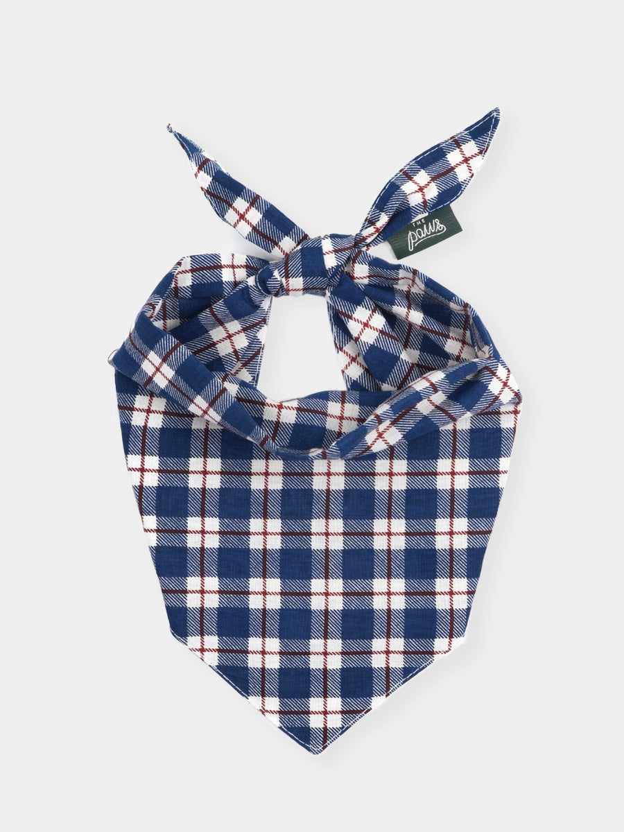 The-Paws-bandana-pour-chien-winter
