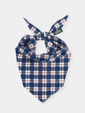 The-Paws-bandana-pour-chien-winter