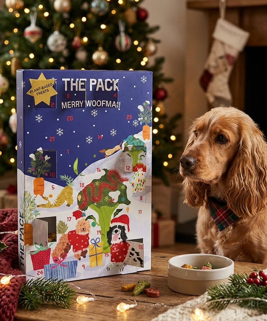 The-pack-friandises-vegan-pour-chien-calendrier-avent-2026