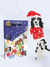 The-pack-friandises-vegan-pour-chien-calendrier-avent-2026