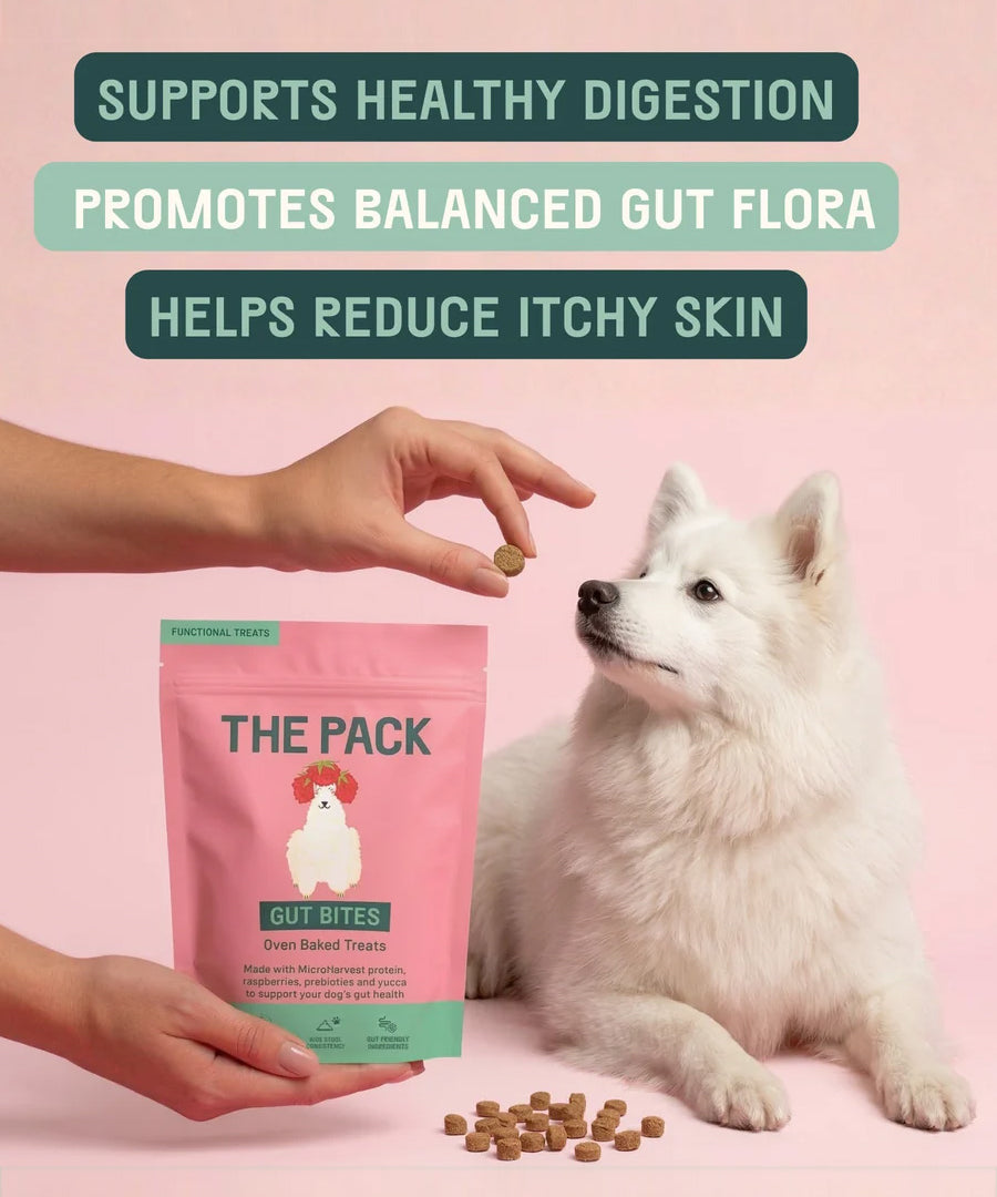 The-pack-friandises-vegan-pour-chien-gut-bites-digestion