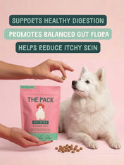The-pack-friandises-vegan-pour-chien-gut-bites-digestion