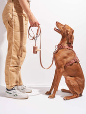 Wild-one-accessoire-chien-design-porte-sac-a-dejection-cacao
