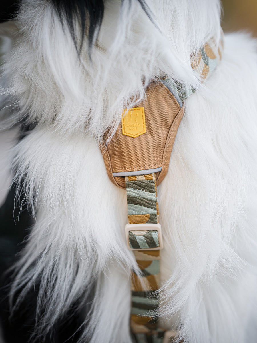 Woolly-Wolf-harnais-pour-chien-Cloudbeam