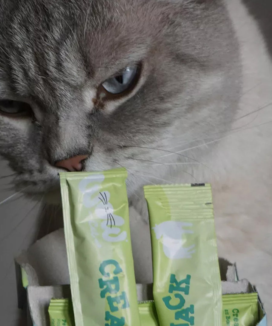 Wow-cat-friandises-a-lecher-pour-chat-creamies-boeuf