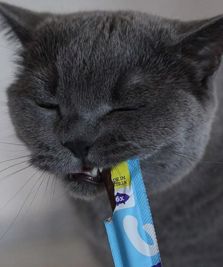 Wow-cat-friandises-pour-chat-stick-saumon