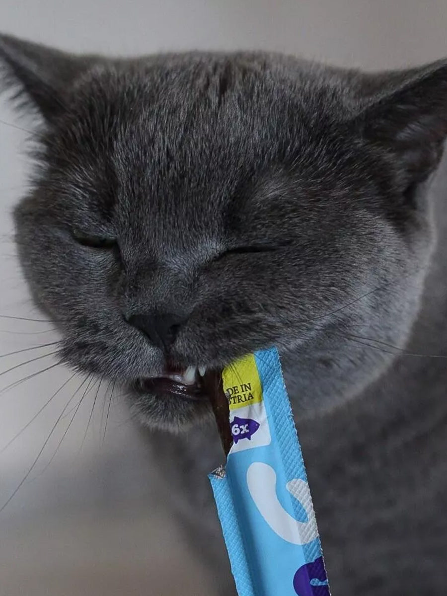 Wow-cat-friandises-pour-chat-stick-saumon