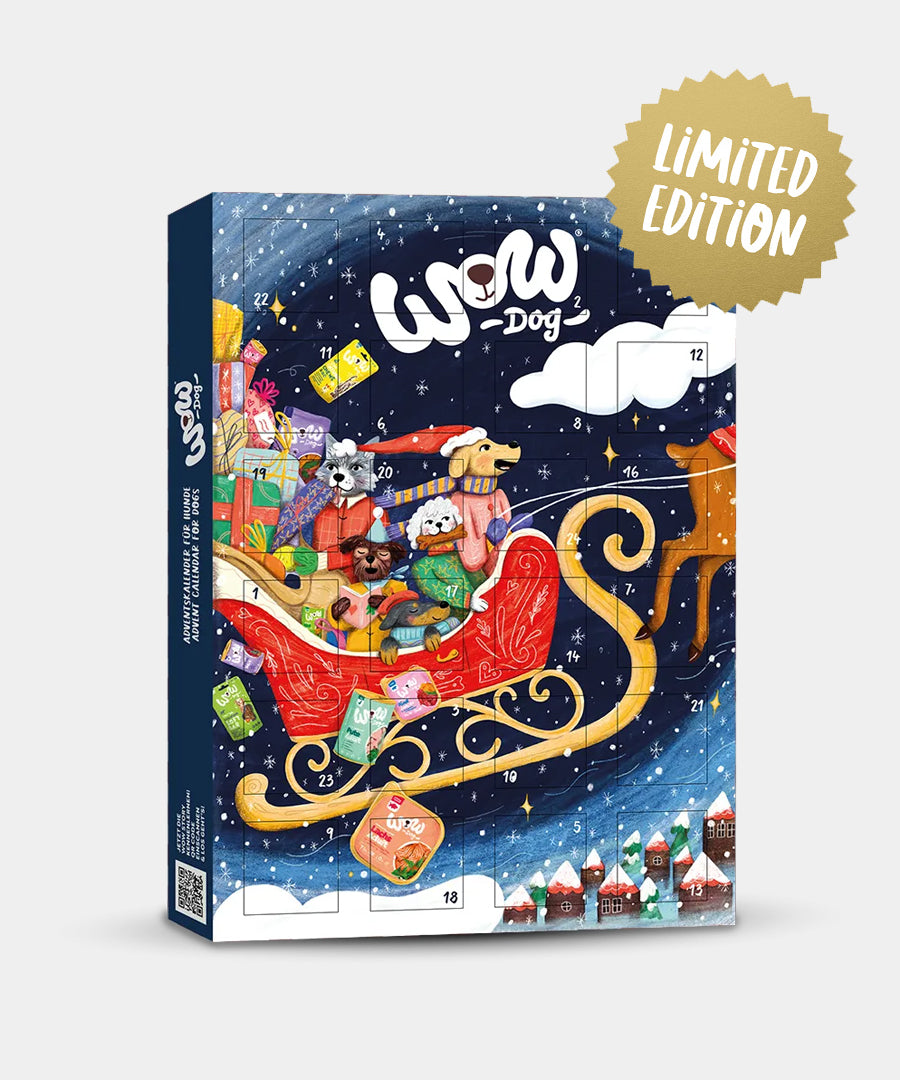Wow-dog-calendrier-de-l-avent-pour-chien-2026