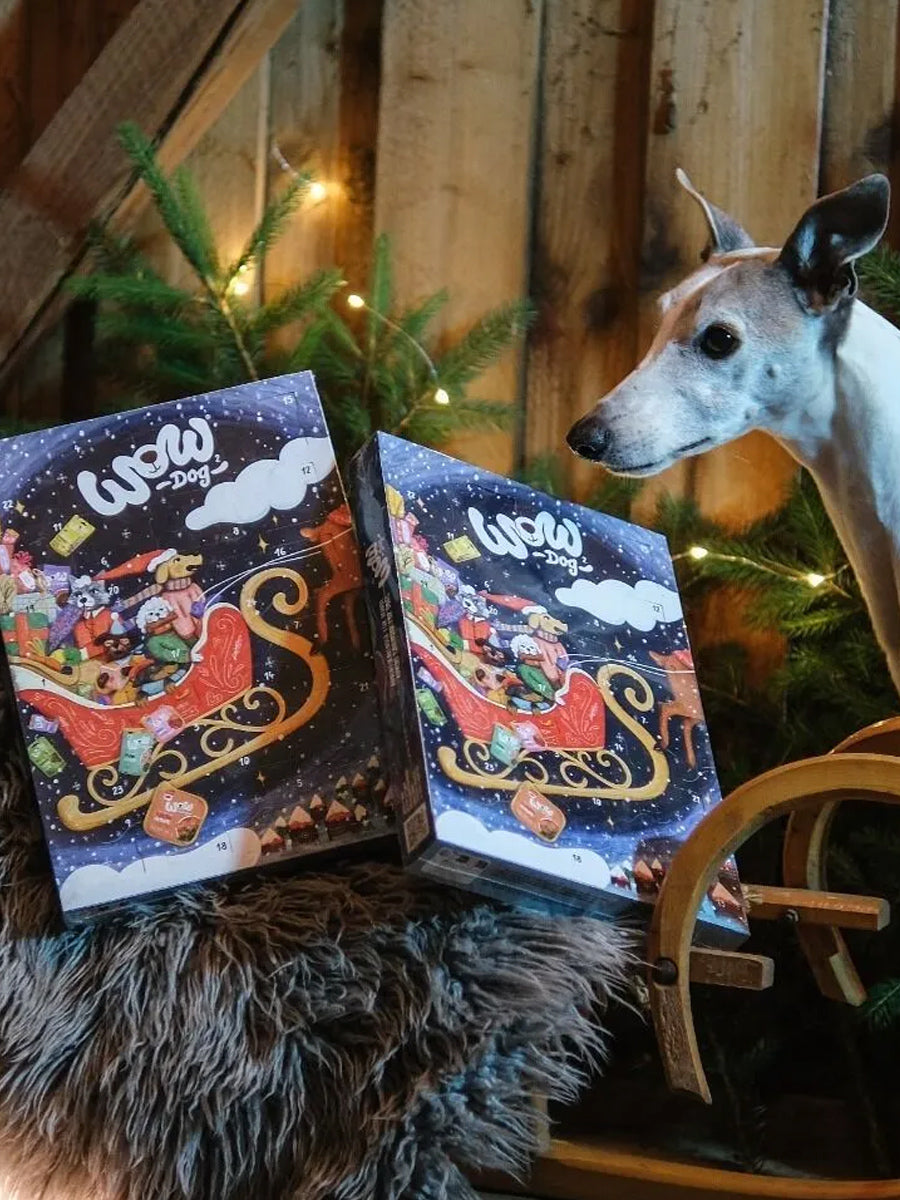 Wow-dog-calendrier-de-l-avent-pour-chien-2026