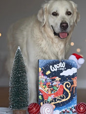 Wow-dog-calendrier-de-l-avent-pour-chien-2026