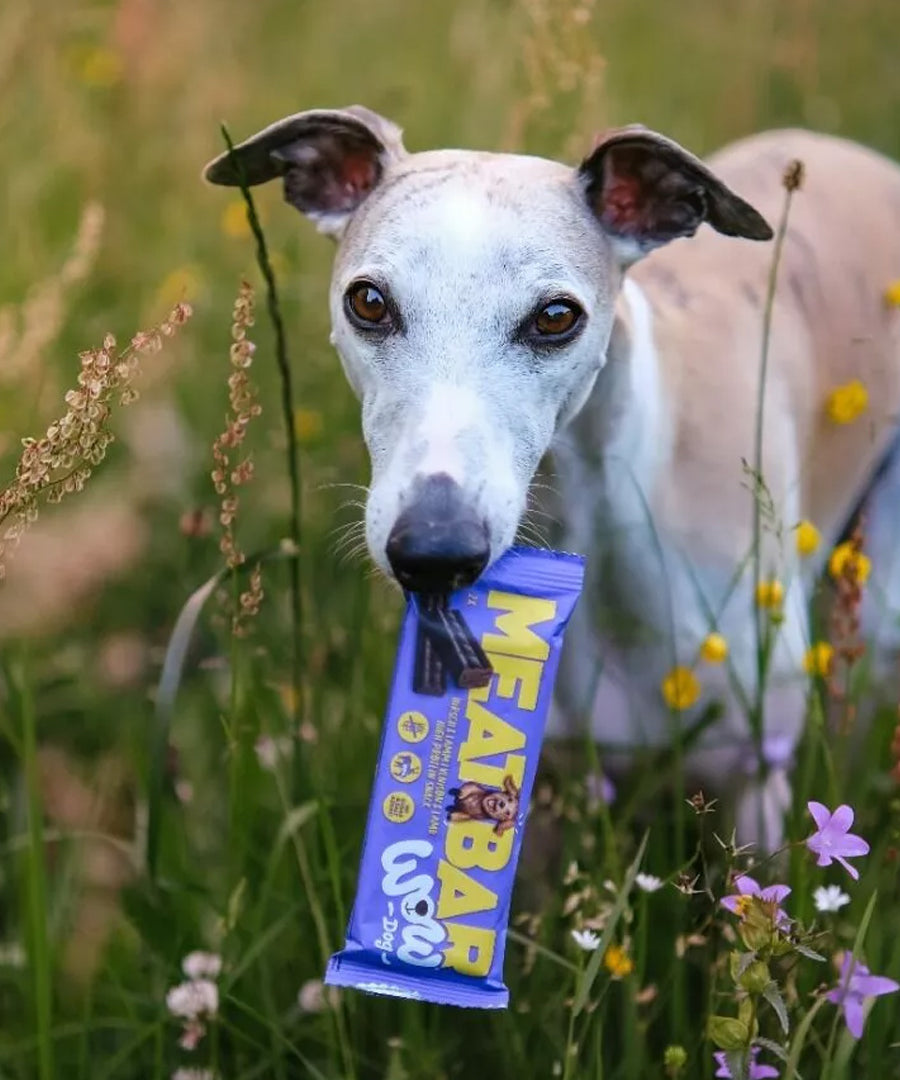Wow-dog-friandises-pour-chien-bar-proteinees-cerf-agneau