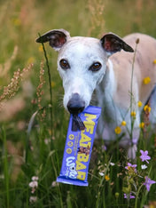 Wow-dog-friandises-pour-chien-bar-proteinees-cerf-agneau