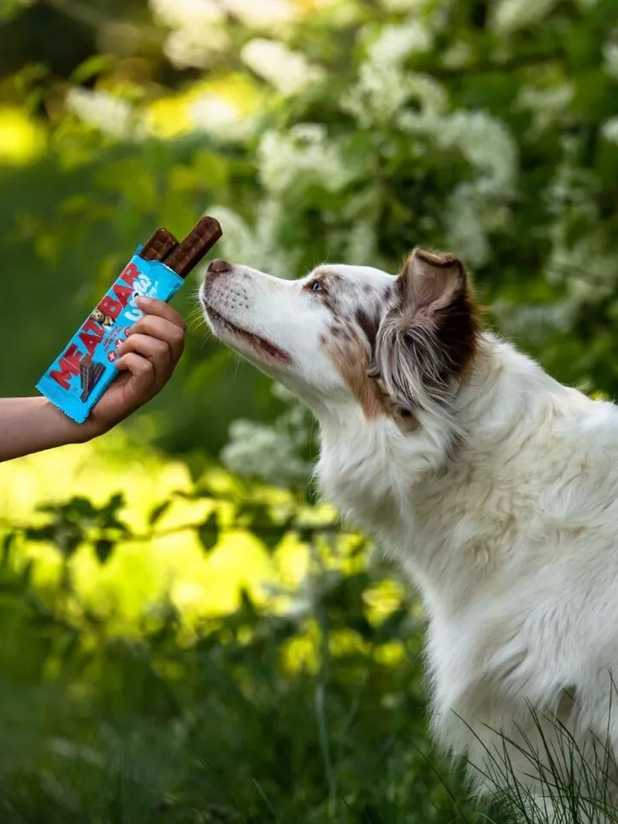 Wow-dog-friandises-pour-chien-bar-proteinees-poulet