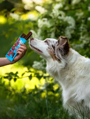 Wow-dog-friandises-pour-chien-bar-proteinees-poulet
