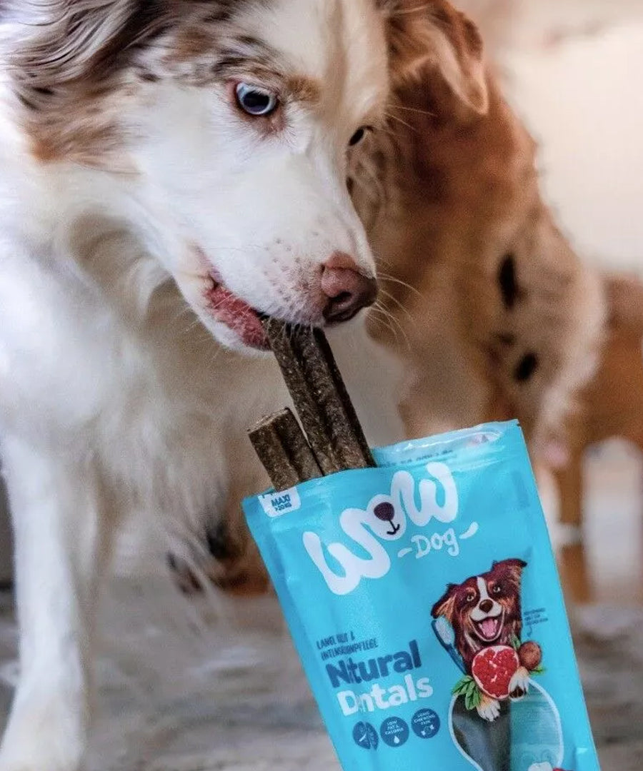 Wow-dog-friandises-stick-dentaire-pour-chien-maxi