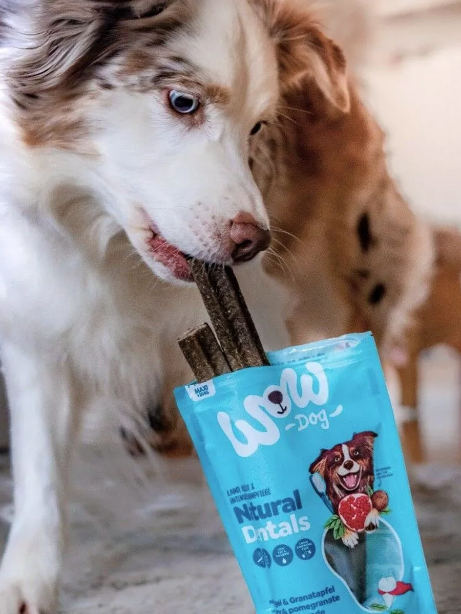 Wow-dog-friandises-stick-dentaire-pour-chien-maxi