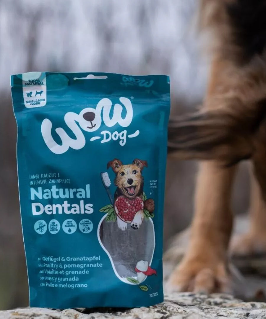 Wow-dog-friandises-stick-dentaire-pour-chien-small