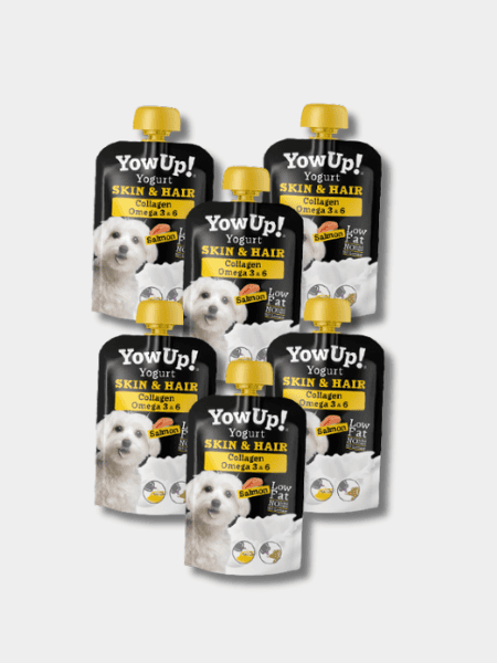 Yowup-Yahourtpour-chien-prebiotics-collagen-omega-3-6-saumon-lot-de-3