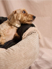 cafide-plaid-pour-chien-premium-douillet-toia-vert-Tartan