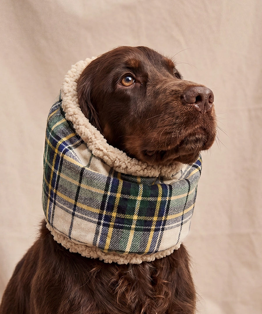 cafide-snood-pour-chien-premium-Olga-beige-Tartan