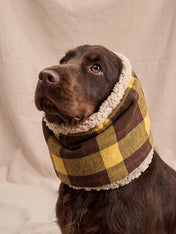 cafide-snood-pour-chien-premium-Olga-jaune-Moutard-Tartan