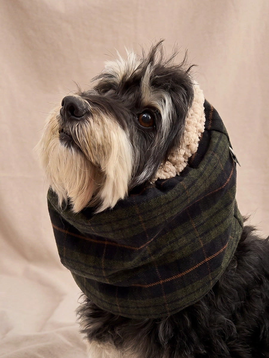 cafide-snood-pour-chien-premium-Olga-vert-Tartan