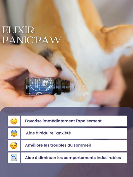 dexter-et-mango-soins-pour-chien-Roll-on-anti-stress-pour-chien-Panic_paw-elixir-de-serenite