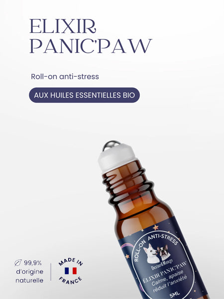 dexter-et-mango-soins-pour-chien-Roll-on-anti-stress-pour-chien-Panic_paw-elixir-de-serenite