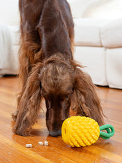 hound-outward-jouet-distributeur-friandises-pour-chien-ananas