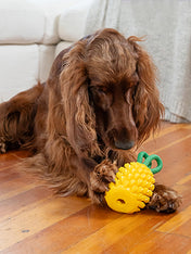 hound-outward-jouet-distributeur-friandises-pour-chien-ananas